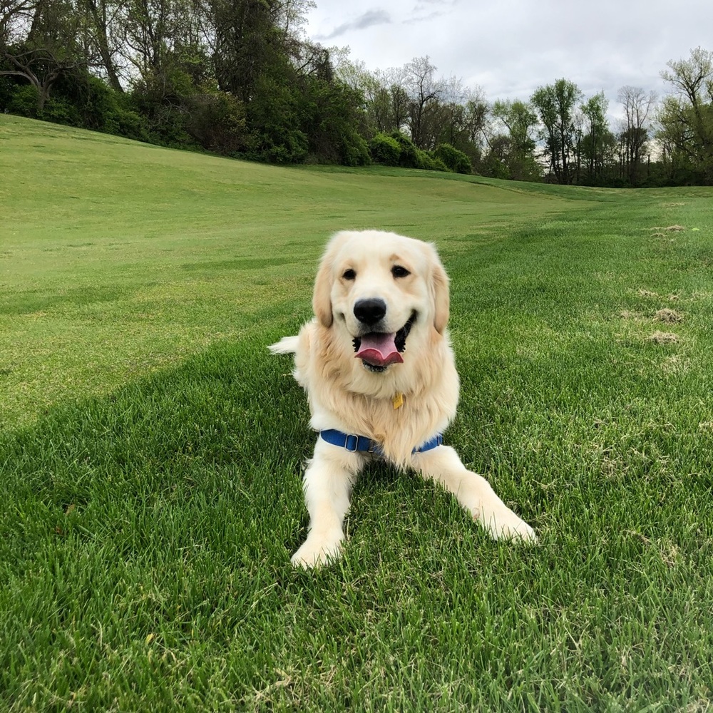 Meet your Posher, Lucas